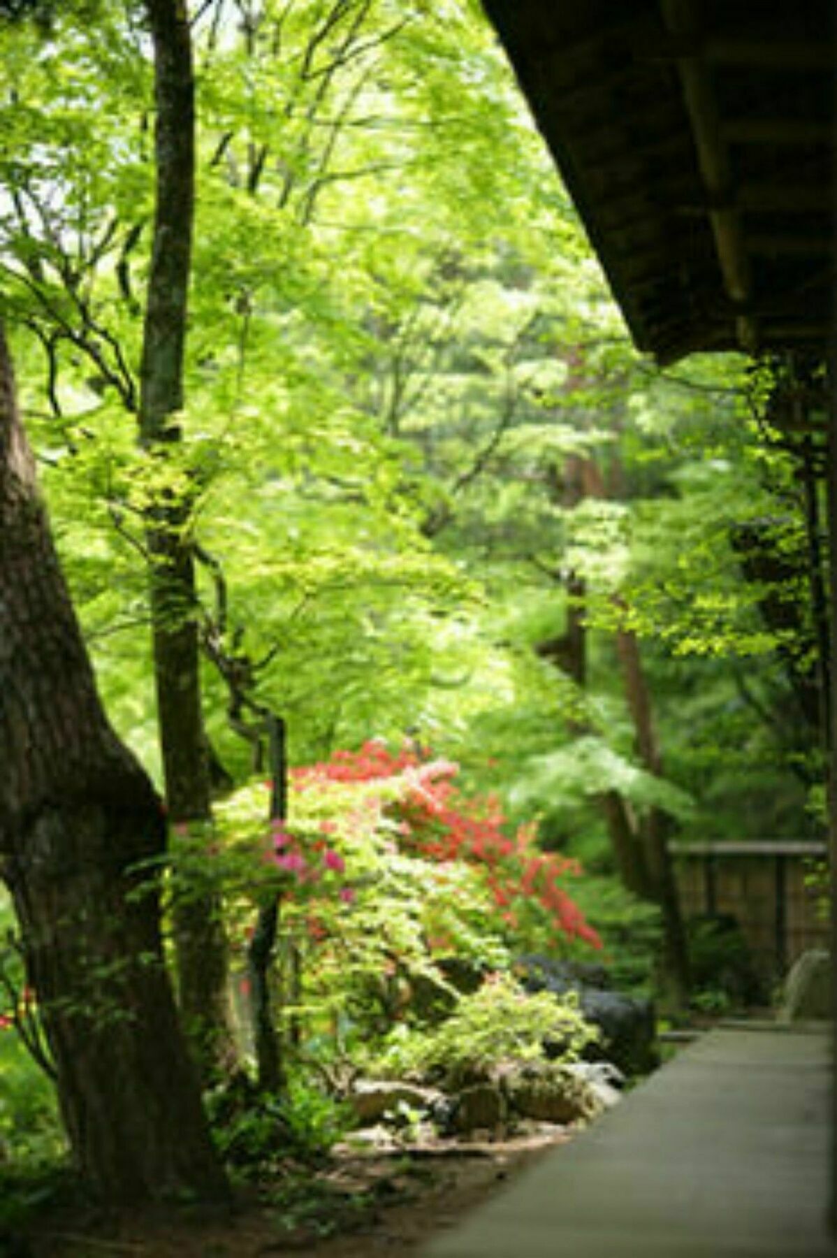 Sekizenkan Kashotei Sanso Nakanojo Exterior foto